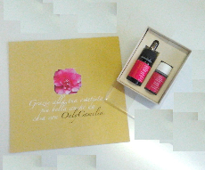 mini travel kit