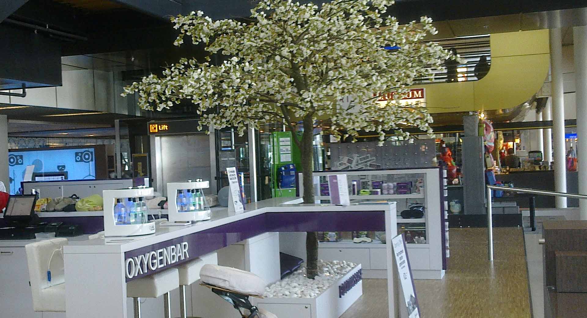 oxygenbar2